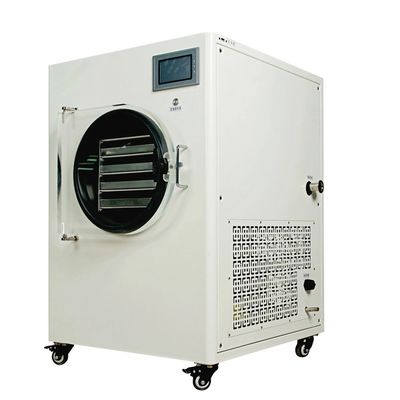 Mesin Vacuum Freeze Dryer Pemanas Listrik Sublimasi Pengering untuk Sayuran